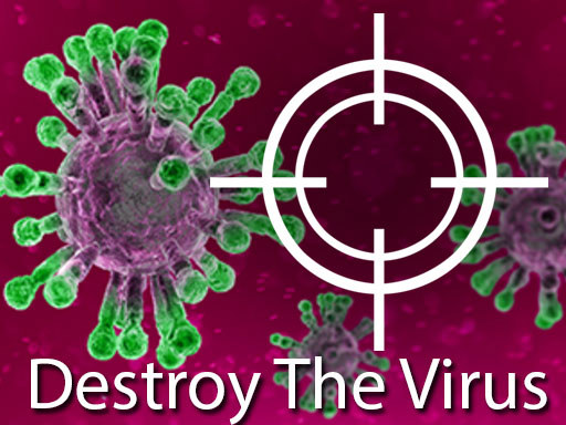 Game Screenshot Destroy The Virus