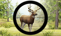 Game Screenshot Contract Deer Hunter