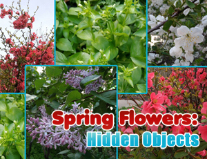 Game Screenshot Spring Flowers: Hidden Objects