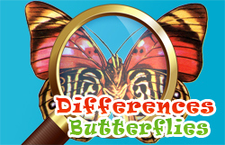 Game Screenshot Differences Butterflies