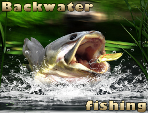 Game Screenshot Backwater Fishing