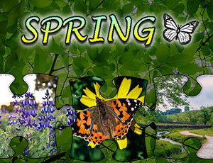 Game Screenshot Jigsaw Puzzle: Spring