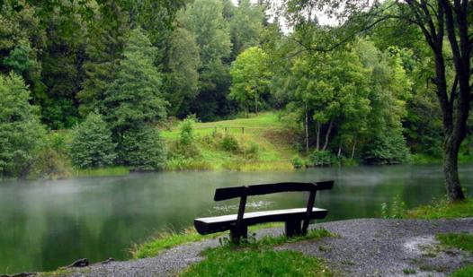 Game Screenshot Forest Jigsaw Puzzles