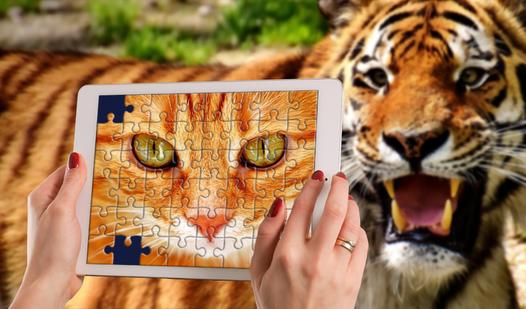 Game Screenshot Unlimited Puzzles