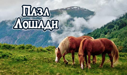 Game Screenshot Horses Jigsaw Puzzle