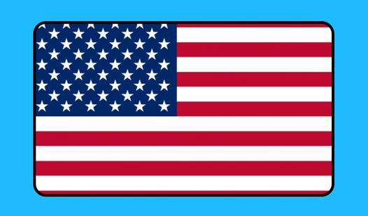 Game Screenshot Flags