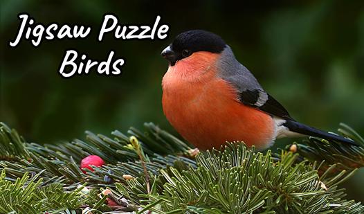 Game Screenshot Jigsaw Puzzle Birds