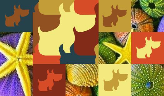 Game Screenshot Doggies - Bunch of puzzles