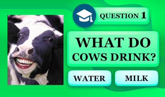 Game Screenshot Trivia Quiz: Live Nature
