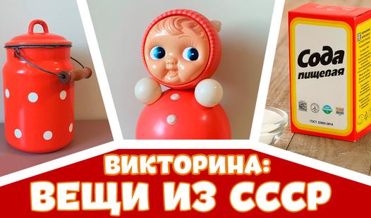 Game Screenshot Викторина: вещи из СССР