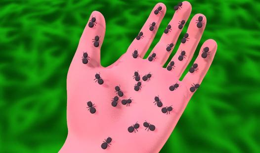 Game Screenshot Ants Adventure