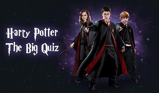 Game Screenshot Harry Potter The Big Quiz