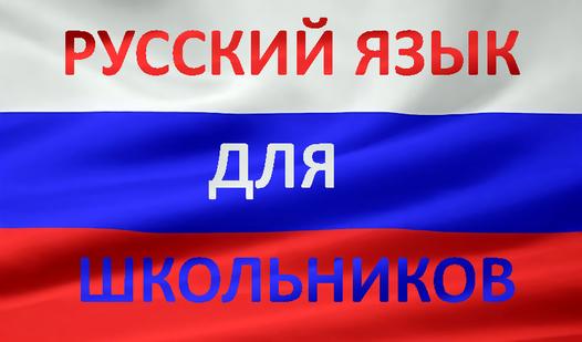 Game Screenshot Русский язык для школьников