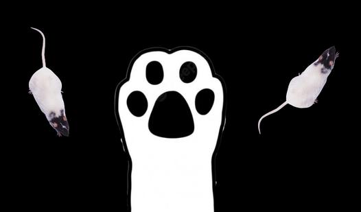 Game Screenshot Game for cats - mad mice