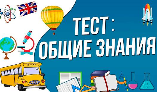 Game Screenshot Тест: Общие знания