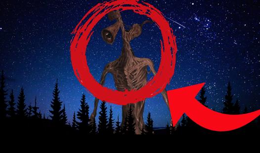 Game Screenshot Horror: Escape the Forest