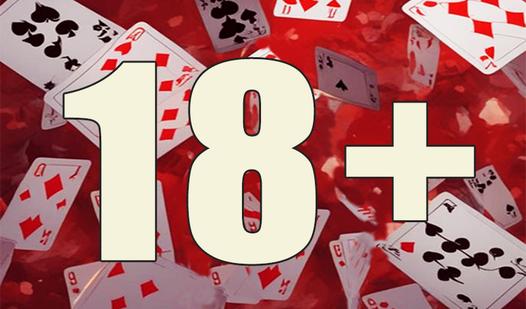 Game Screenshot Durak for Adults