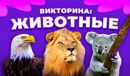 Game Screenshot Викторина: Животные