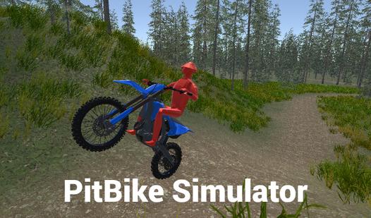 Game Screenshot PitBike Simulator
