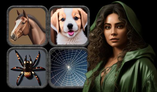 Game Screenshot Pairmaster. Find a pairs