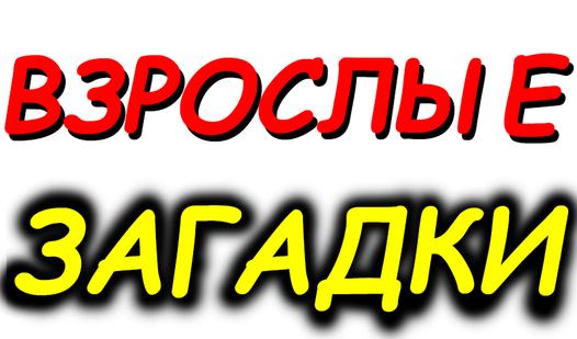 Game Screenshot Взрослые загадки