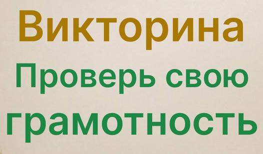 Game Screenshot Quiz Test your literacy