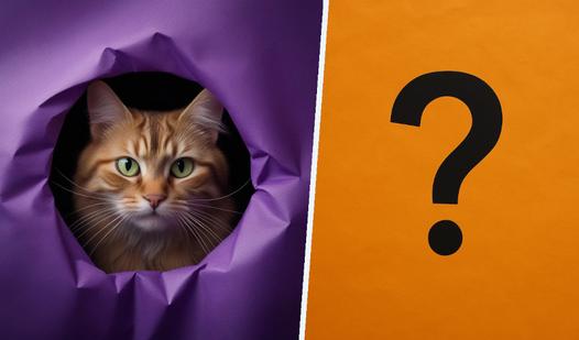 Game Screenshot Wonder Puzzle