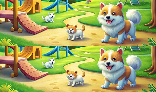 Game Screenshot Find the Difference Expert