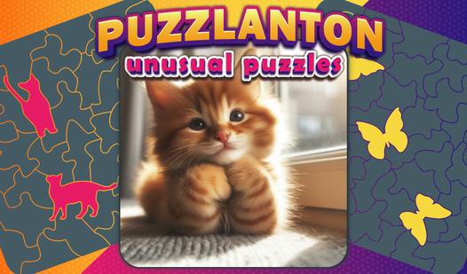 Game Screenshot Puzzlanton: unusual puzzles