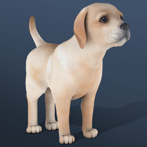 Game Screenshot IDLE Pet