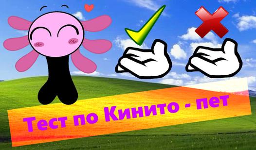 Game Screenshot Тест по Кинито-пет