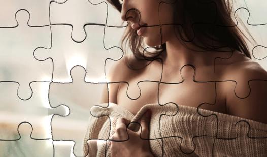 Game Screenshot Puzzles for adults 2024