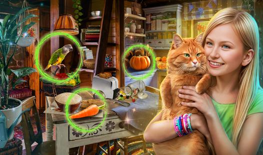 Game Screenshot Hidden Objects: Sweet Home