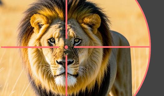 Game Screenshot Wildlife: Africa Hunting 3D