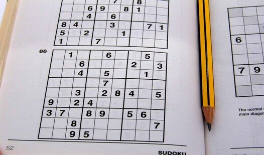 Game Screenshot The Master of Sudoku
