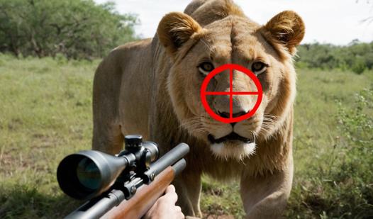 Game Screenshot Animal Trail 3D