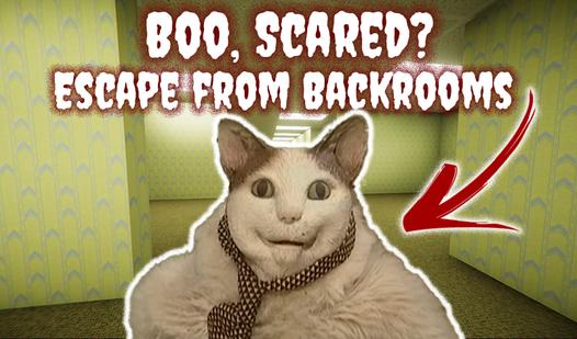 Game Screenshot Boo, Scared? Escape from Backrooms