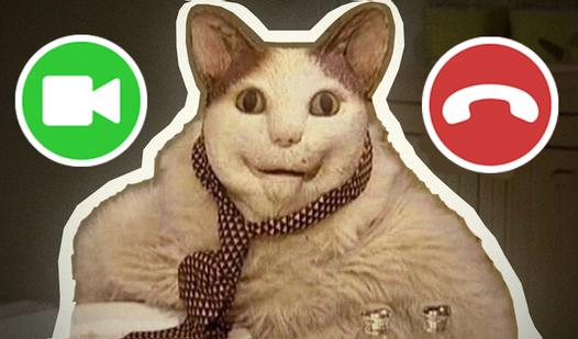 Game Screenshot Call Boo Urgently: Scared? Don't Worry!