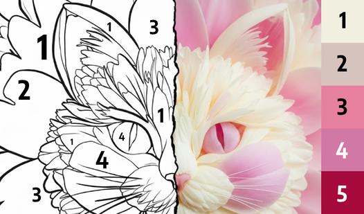 Game Screenshot Numicolor