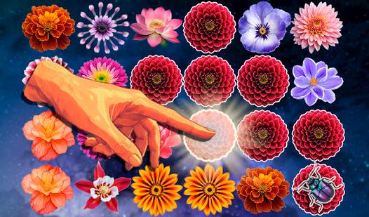 Game Screenshot Bubble Pop Flowers: Petal Magic