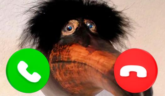 Game Screenshot Call Skebob!