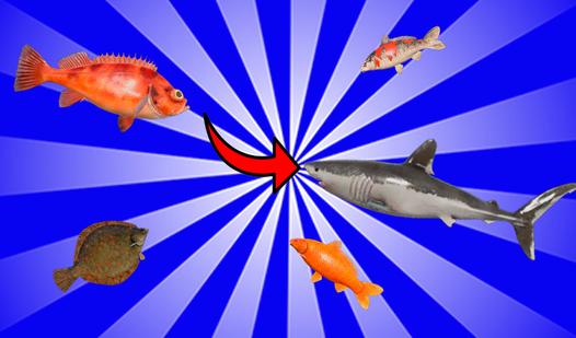 Game Screenshot Russian Fishing Evolution!