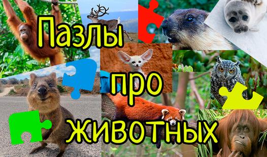 Game Пазлы про животных