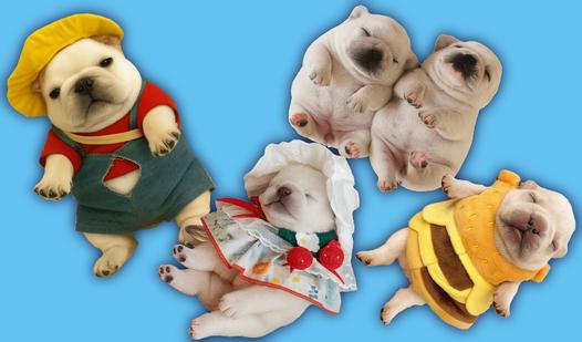 Game Screenshot Wash My Belly! Игра с пиблами