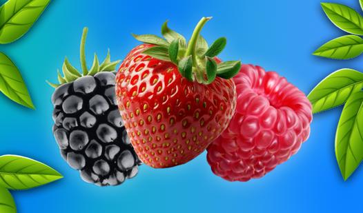 Game Screenshot Connect Them: Berries!