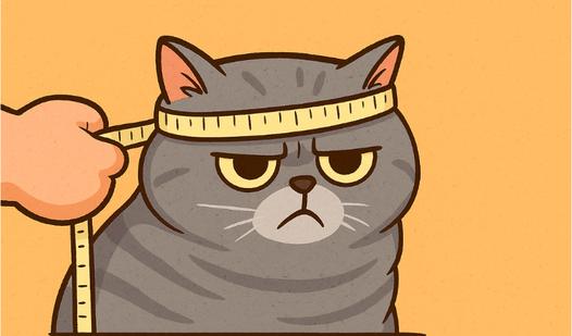 Game Screenshot Test Your Memory