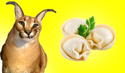 Game Dumpling Clicker: Evolution!