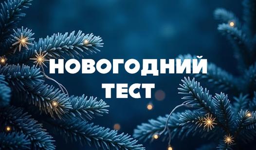 Game Screenshot Новогодний тест