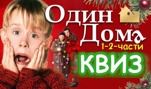 Game Screenshot Один Дома 1-2 части Квиз!